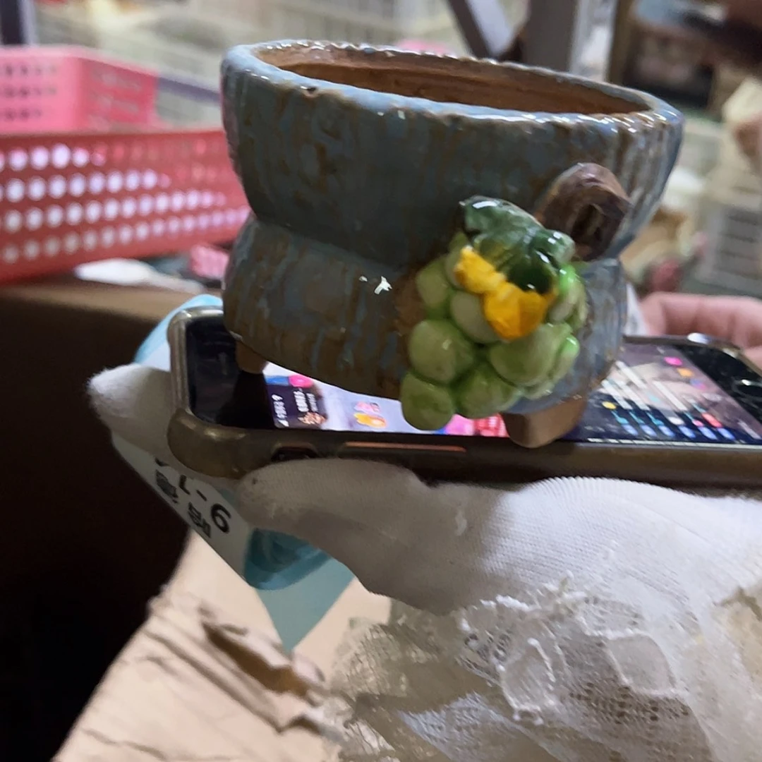 【闪购商品】红陶福利