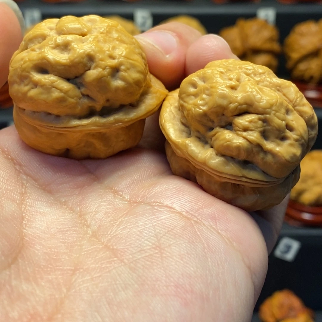 把件文玩核桃35金蟾疙瘩包