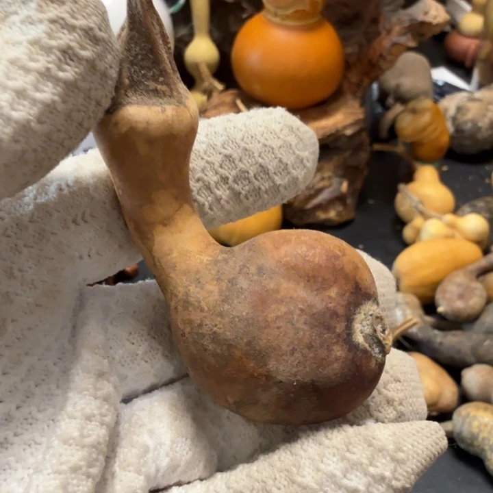 普***r67667777788888888