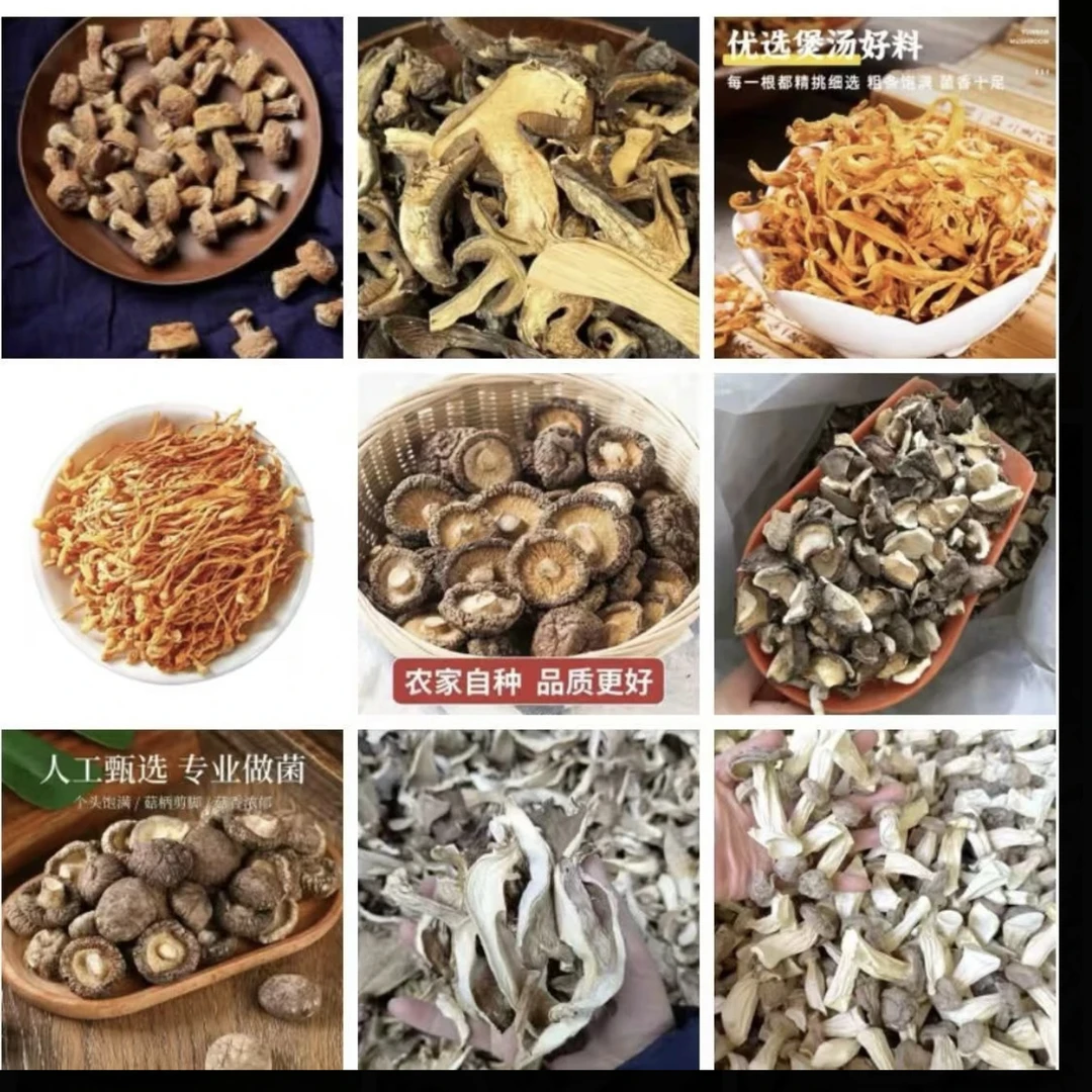 云南土特产_临时链接 菇 工艺品