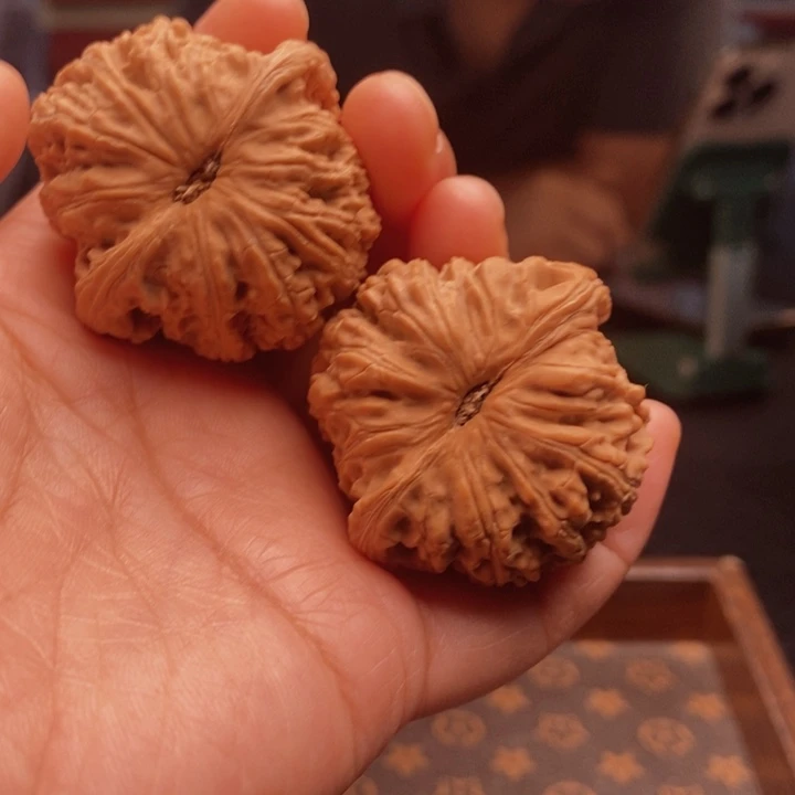把件文玩核桃泥鳅41尺