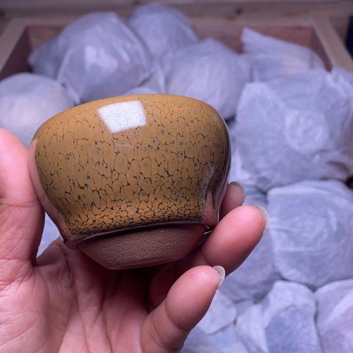 茶盏乐乐乐乐乐乐乐乐