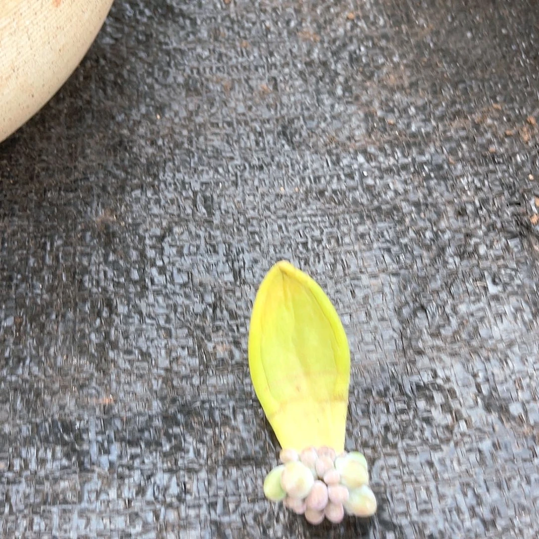 ヾ***و十级福利大群无砍不售后