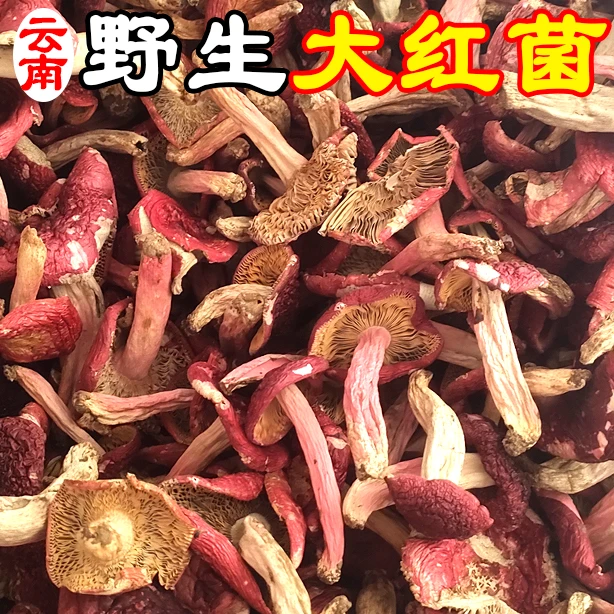 云南野生大红菇大红菌干菇干货正宗月子菇煲汤炖鸡美味滋补佳精品