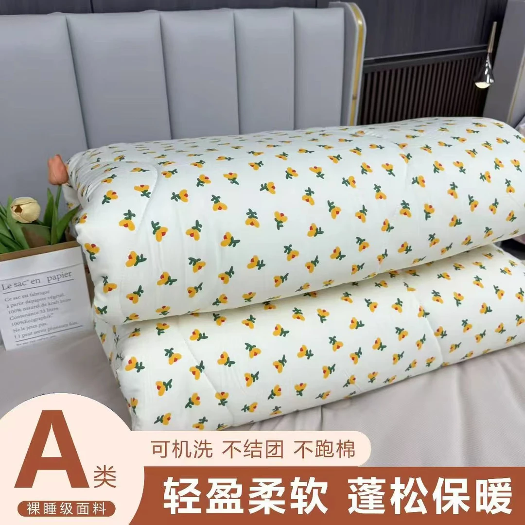 【年终特卖】【春秋被】时光200X220CM可机洗单人双人被冬被子