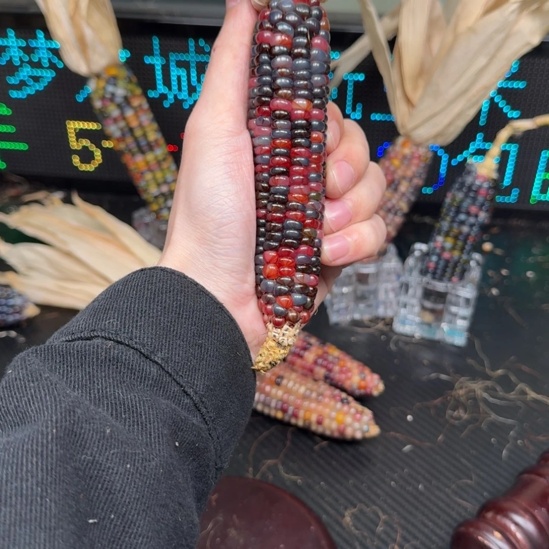 柏香籽/百香籽吊坠?*合