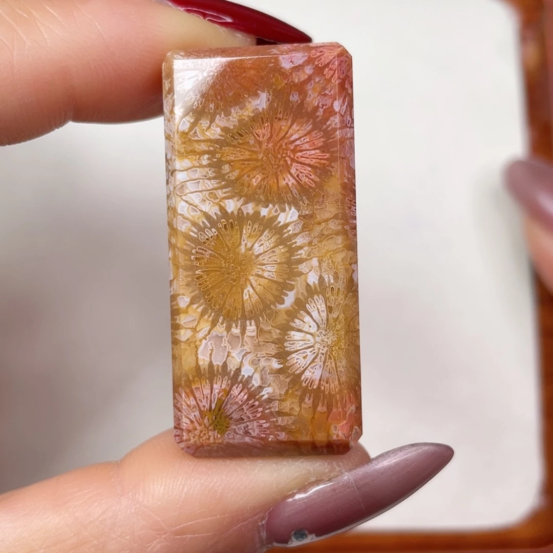 【闪购商品】未镶嵌吊坠(赠链)硅化玉
