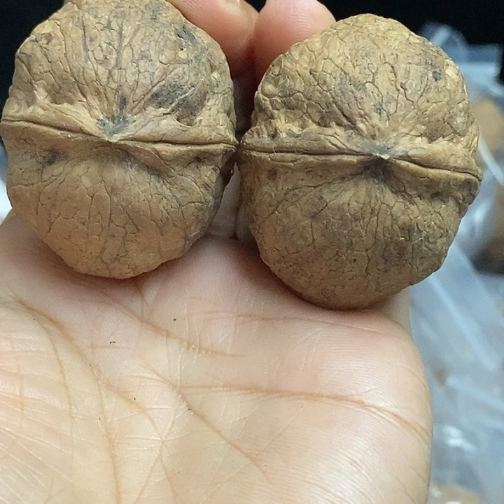 文玩核桃把件云南铁核桃基地58