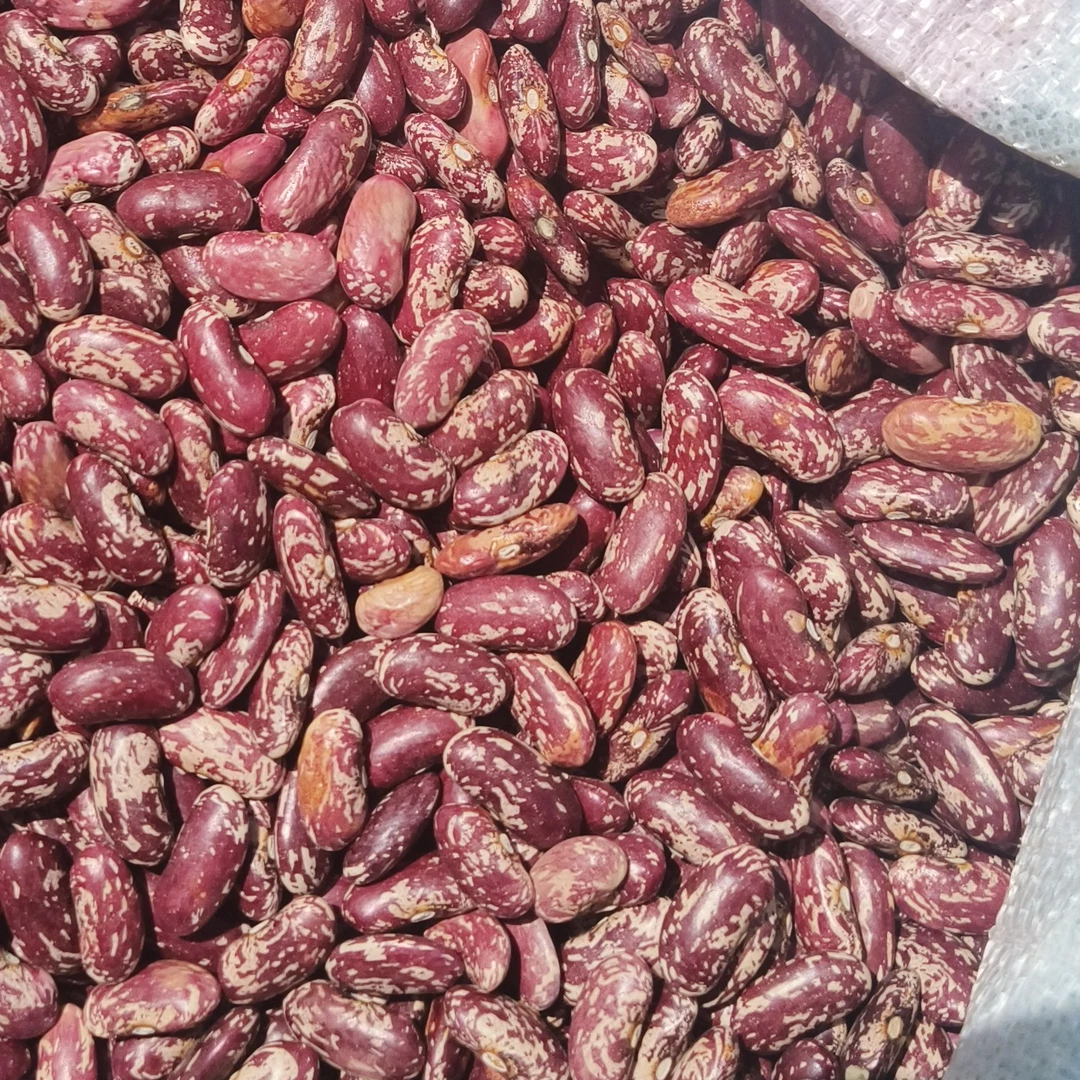 贵州酸菜豆米新花豆云优质粗粮适合焖饭