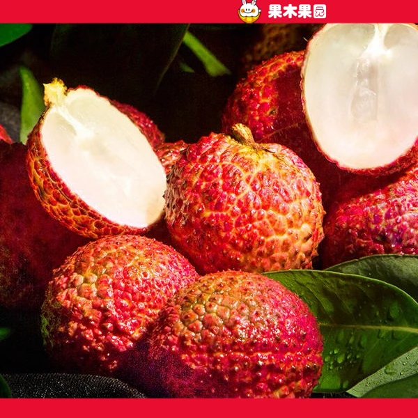 【同城配送】无核荔枝约一斤｜新鲜到店｜口感清甜荔枝同城送海南省