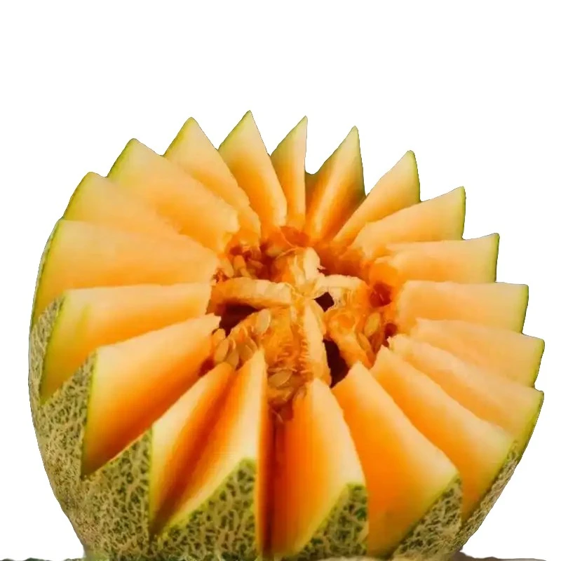 《顺丰包邮》伽师瓜86王现摘现发当季新鲜脆甜水果