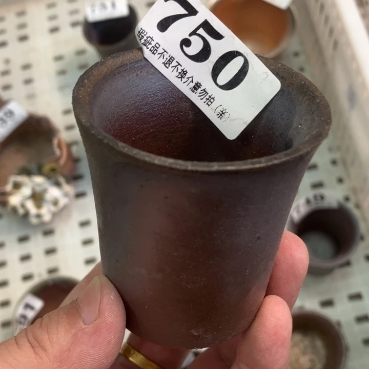 柴烧杯子宝瓶大放漏。
