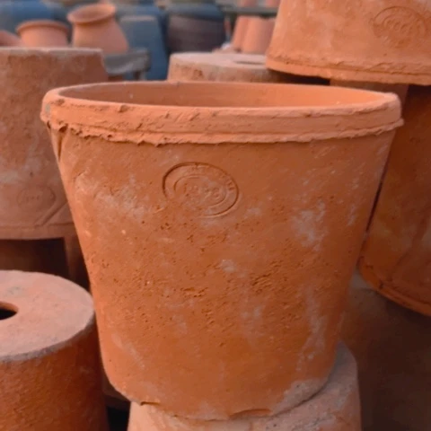 红陶口21高度18微瑕