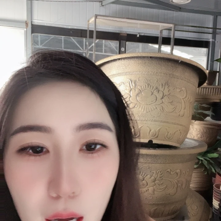 圆60口径花盆四个