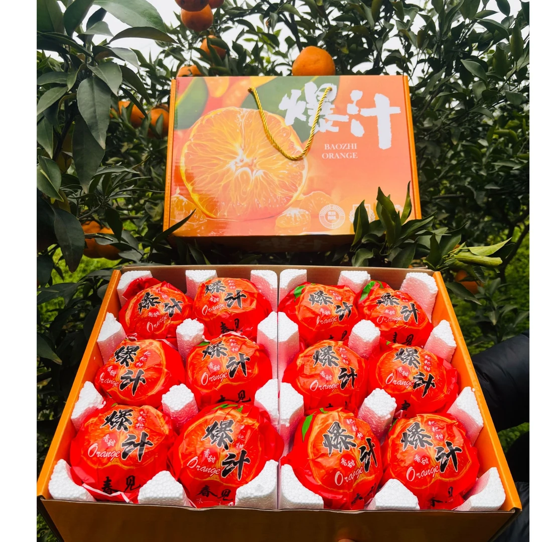 L【春节礼盒】【顺丰送货上门】 精品包装四川春见耙耙柑柑橘子爆汁