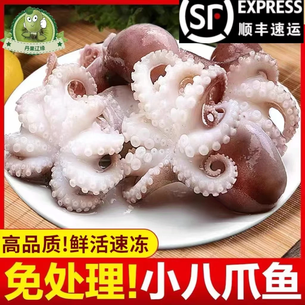 新鲜八爪鱼鲜活冷冻小章鱼迷你短腿八抓鱼大爆头去内脏捞汁小海鲜