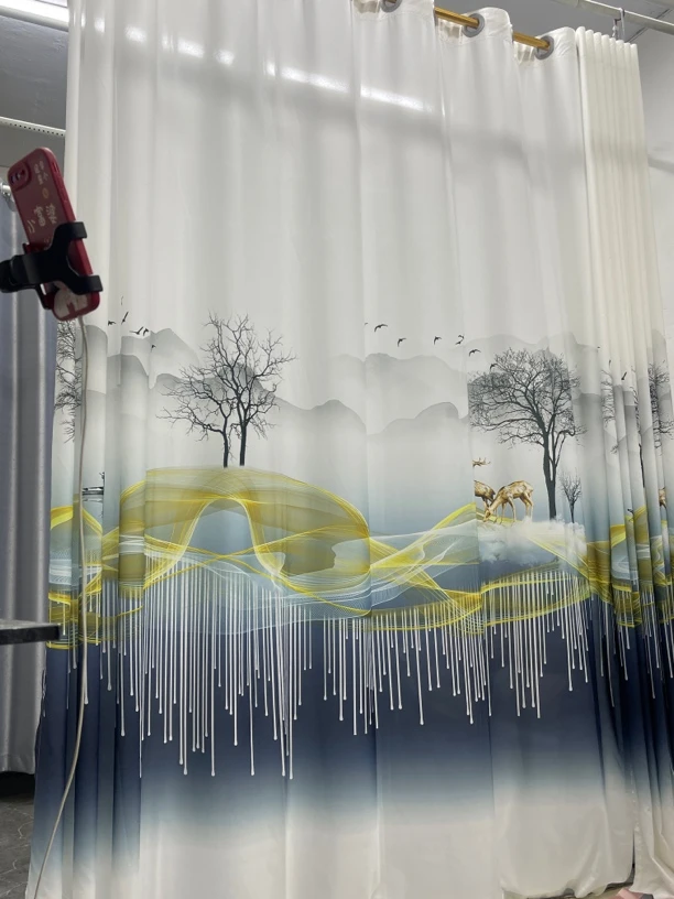 5米6米对开成品纱帘皇冠底沙5D数码印花成品高度2.7透光不透人