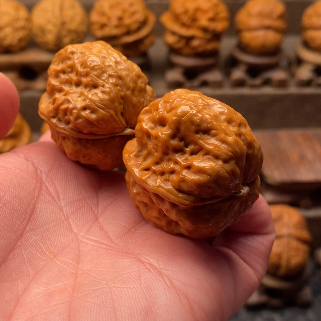 把件文玩核桃龙脊金蟾王38尺寸