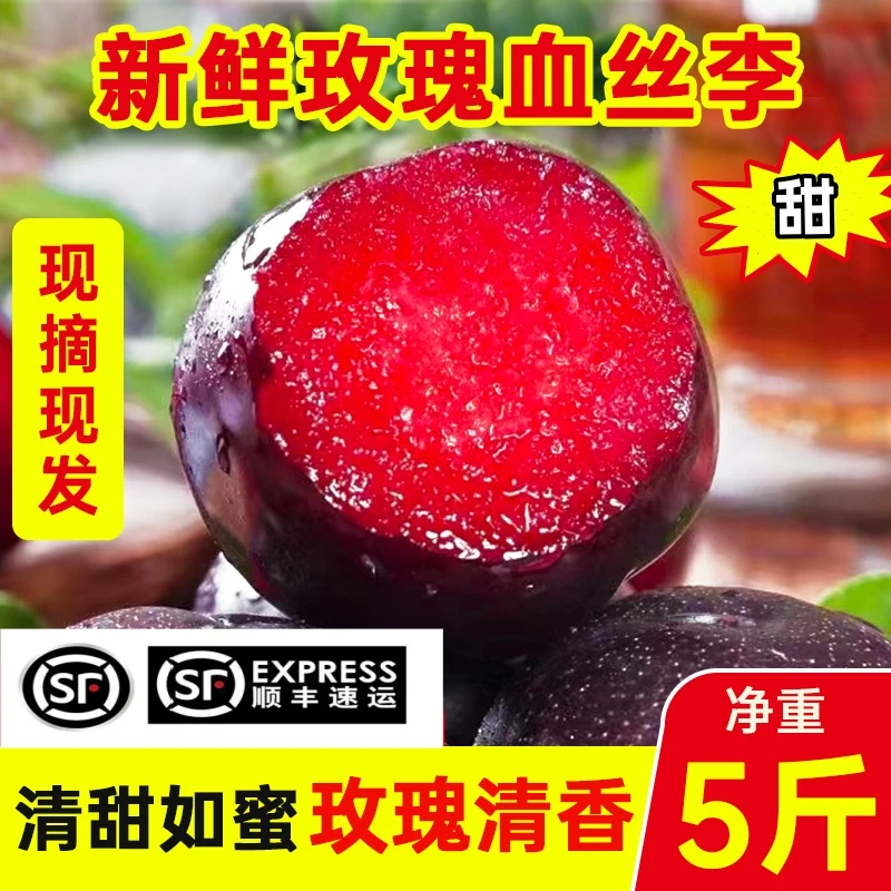 正宗玫瑰血丝李5斤现摘现发红肉李子冰糖甜清甜应季水果顺丰包邮