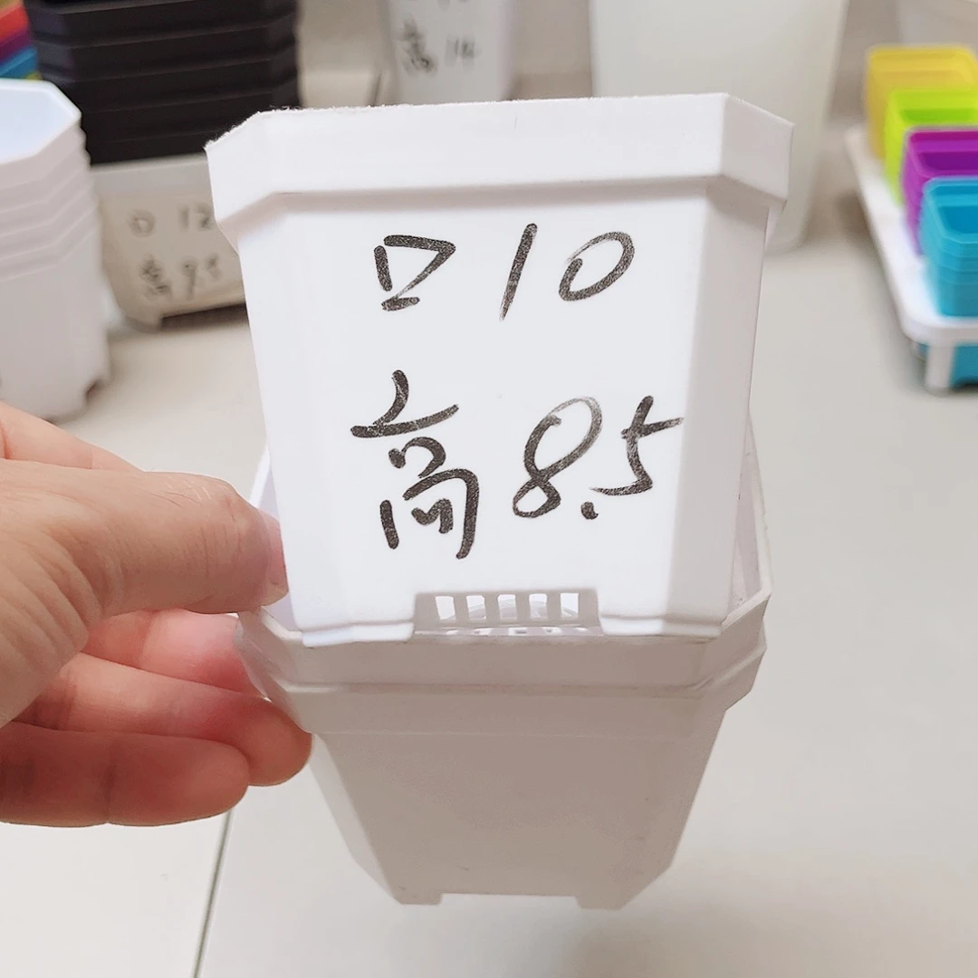 加厚斜角口10高8.5白方盆15个无托