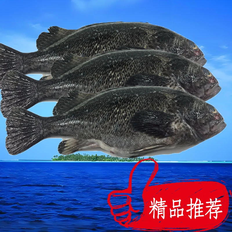 70黑鱼,3斤以直播间现场称重为准