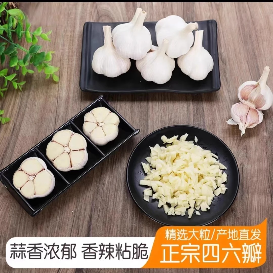 2025山东苍山四六瓣鲜蒜粘辣浓郁蒜香十足
