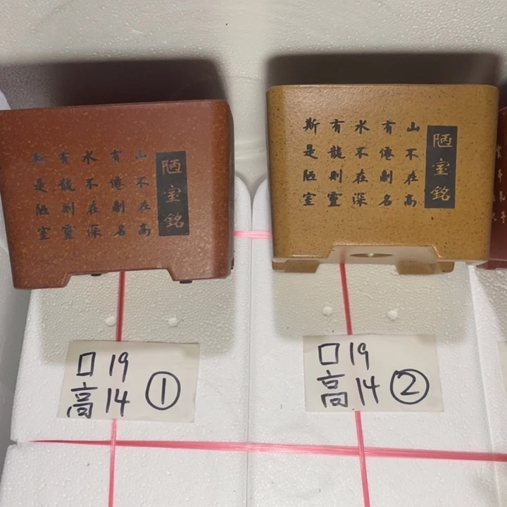 周三周四周三周四啧啧啧