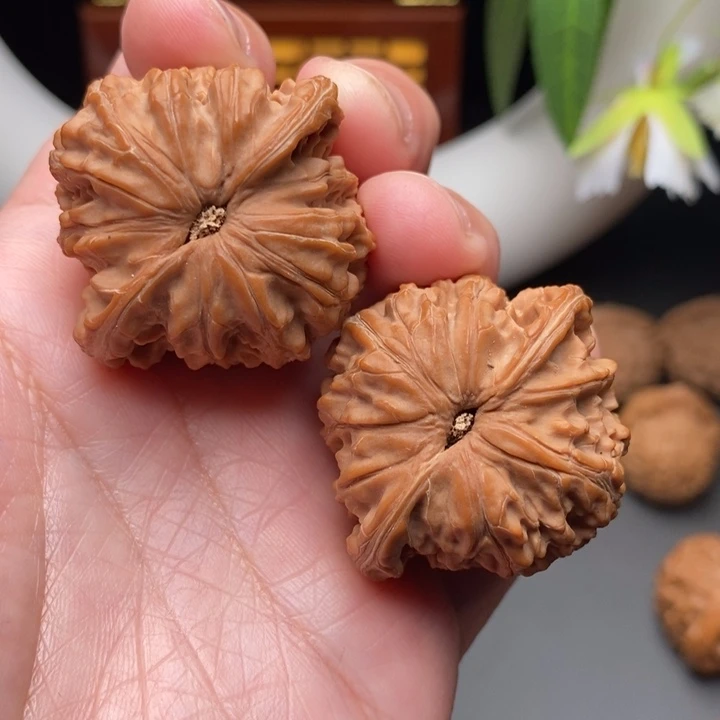 文玩核桃把件钱****医磨盘40
