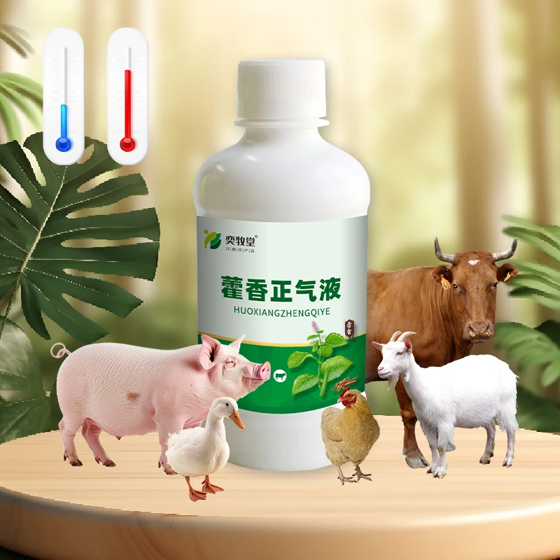 纯提纯藿香正气兽用猪牛羊鸡鸭鹅禽畜清热冰霜VC兽用