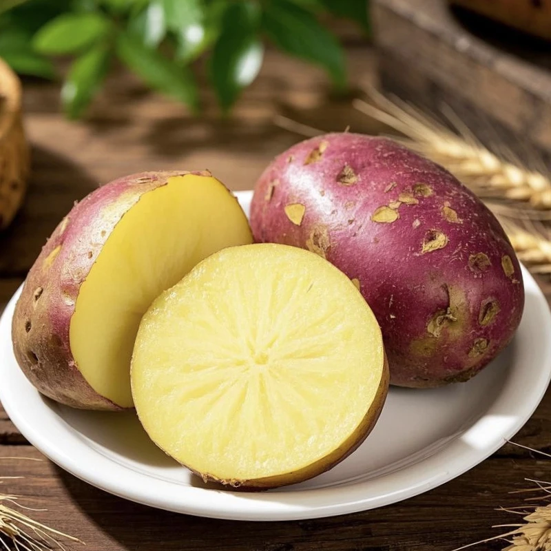 正宗云南红皮土豆2025现挖红皮黄心洋芋新鲜整箱蔬菜马铃薯