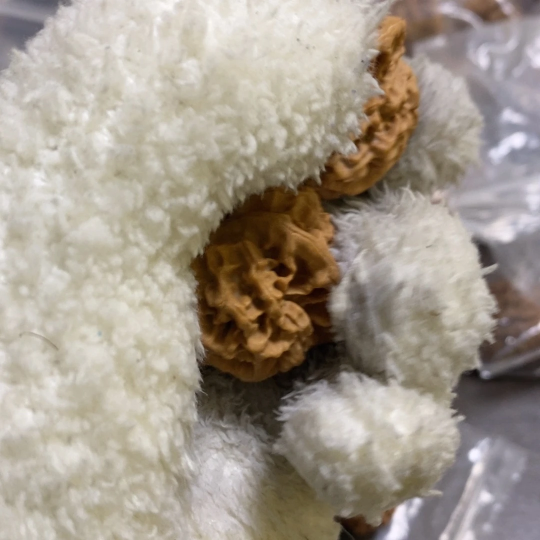秦岭南北缘是个秦闷