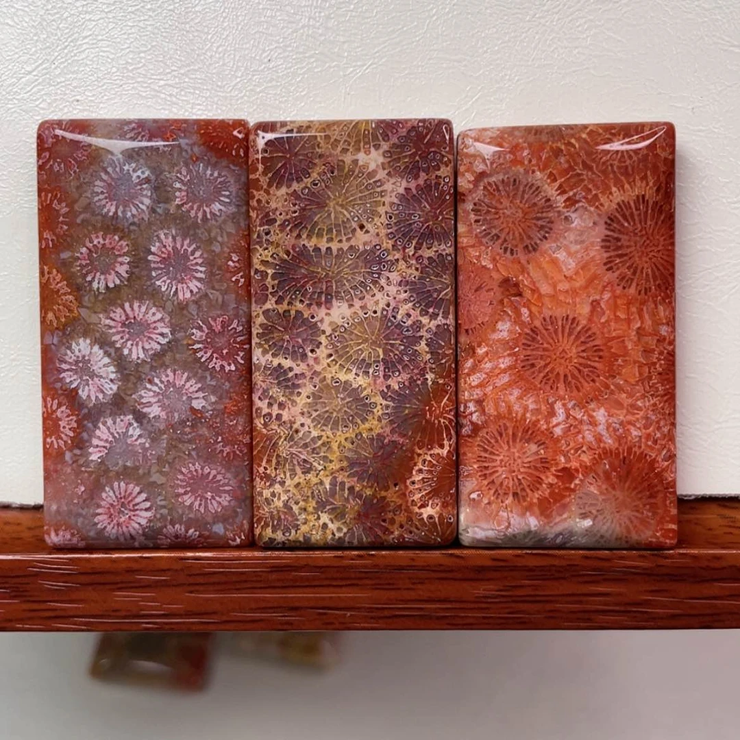 【闪购商品】未镶嵌吊坠(赠链)硅化玉2⃣️