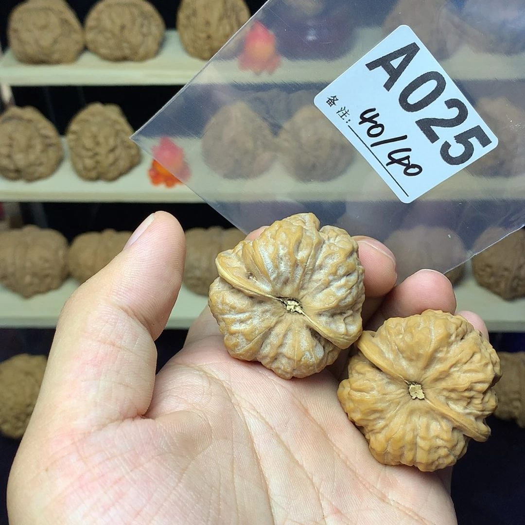 手串/手链核桃A25 40尺三角箭毒