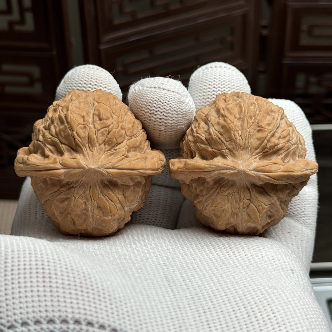 精选南瓜墩狮子头,边44肚43高35,老树山地果,骨质好油性足上色快