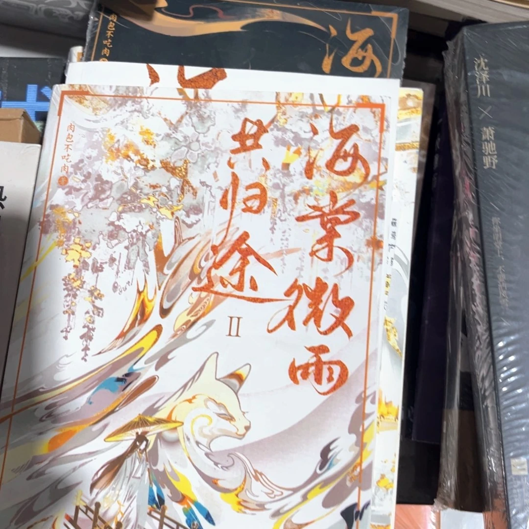 海棠微雨共归途新书全套福利