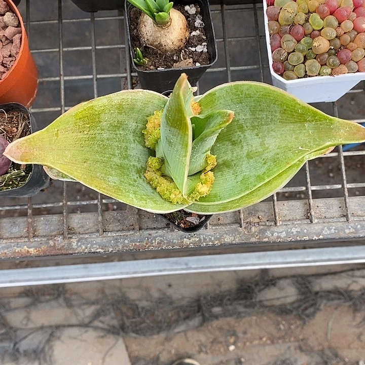 漂亮小仙女的日常生活照啊