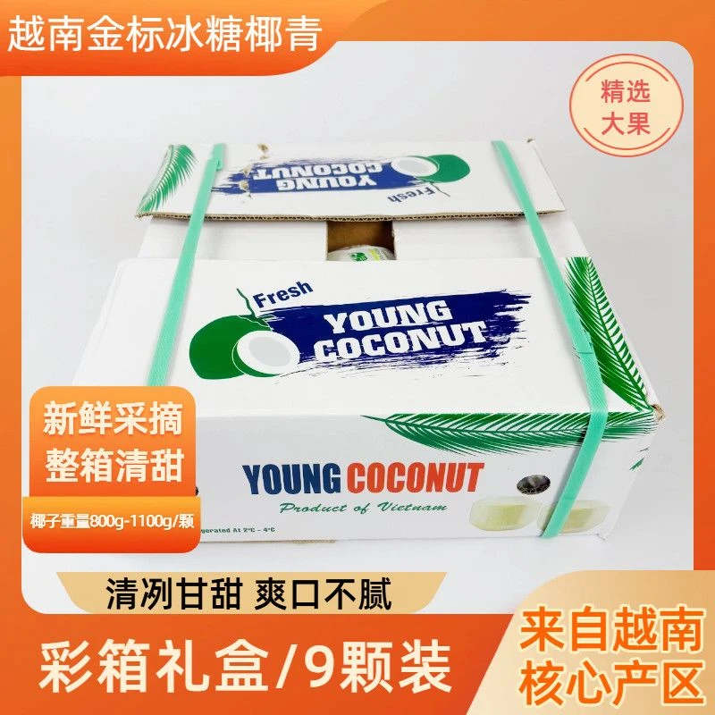 【刘椰椰专属大果】越南进口椰青 800*1100g/枚 9枚/箱装 椰青整箱