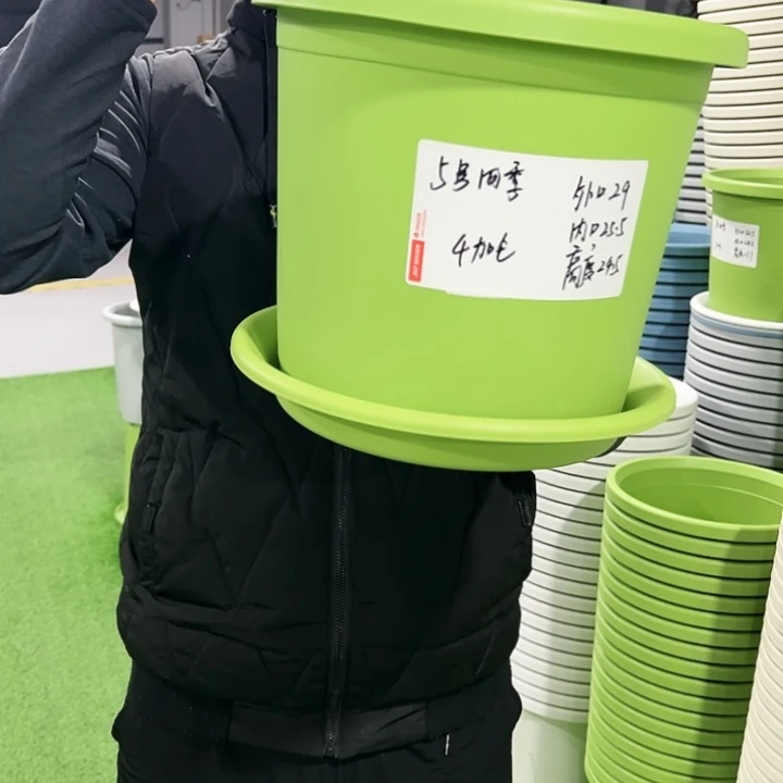 特价5号口29高24.5白色6只带托