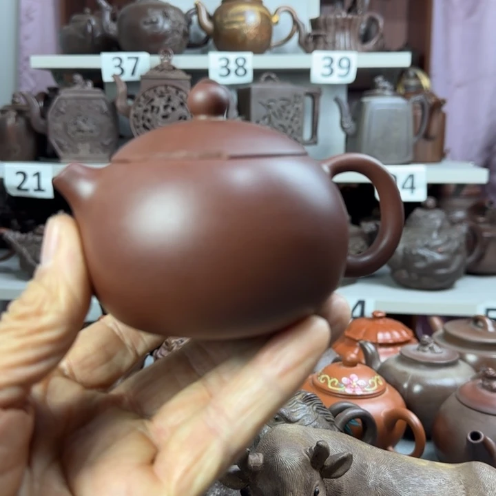 紫砂壶泡茶杯茶壶摆件