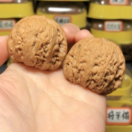 精品野生泥鳅背全品