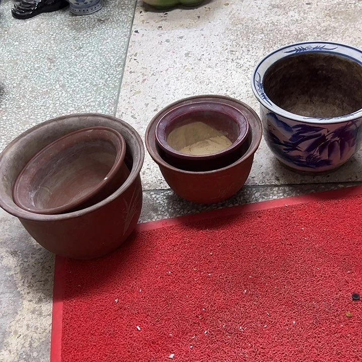 红陶大*.。。。。。。。。。。。。