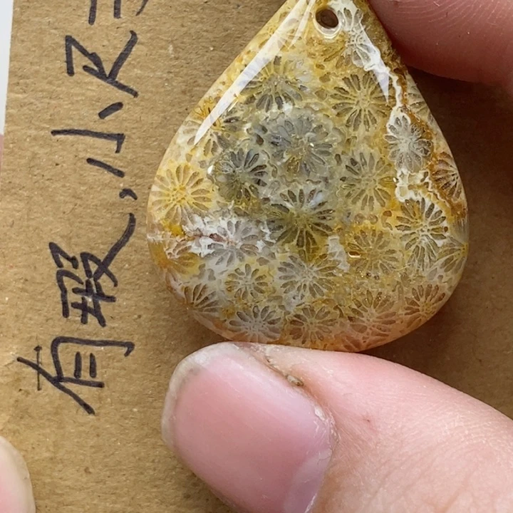颈饰未镶嵌硅化珊瑚（珊瑚玉）