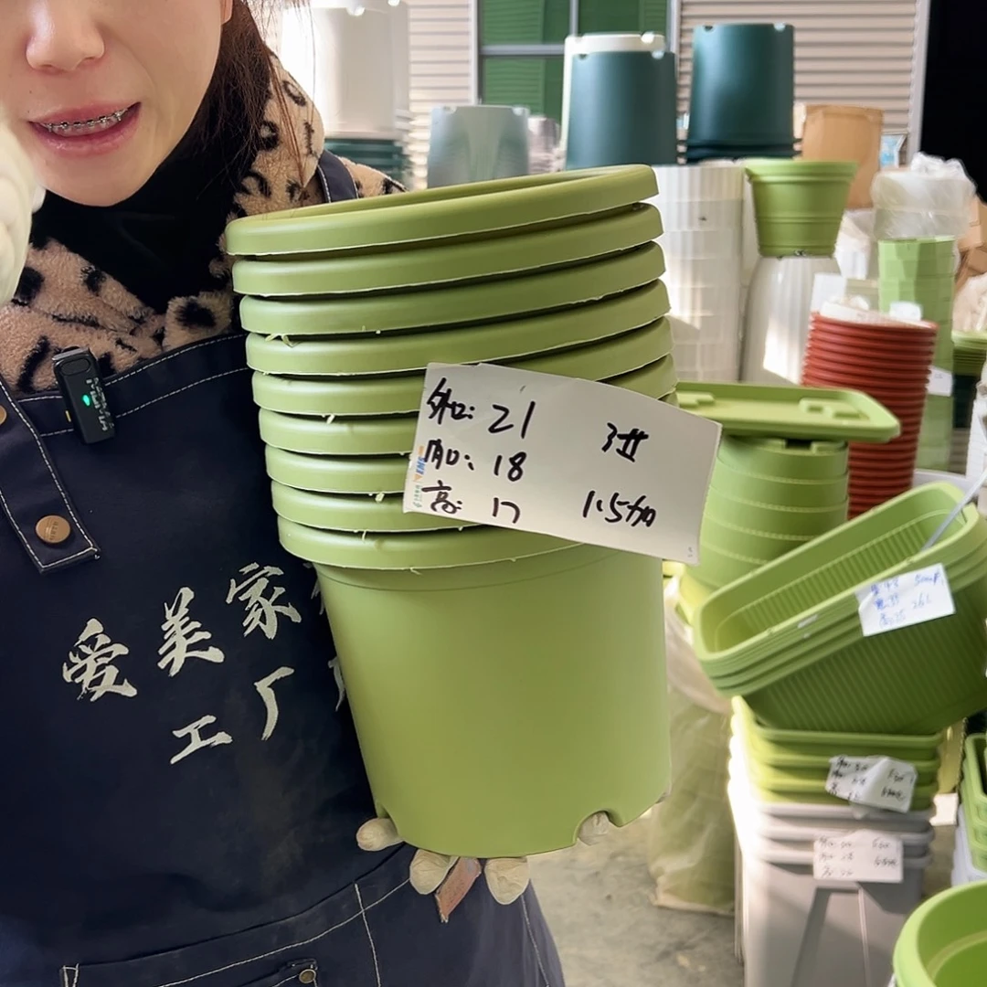 四季盆3#果绿10个无托