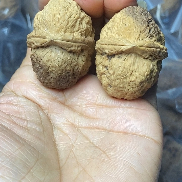 文玩核桃把件云南铁核桃基地37