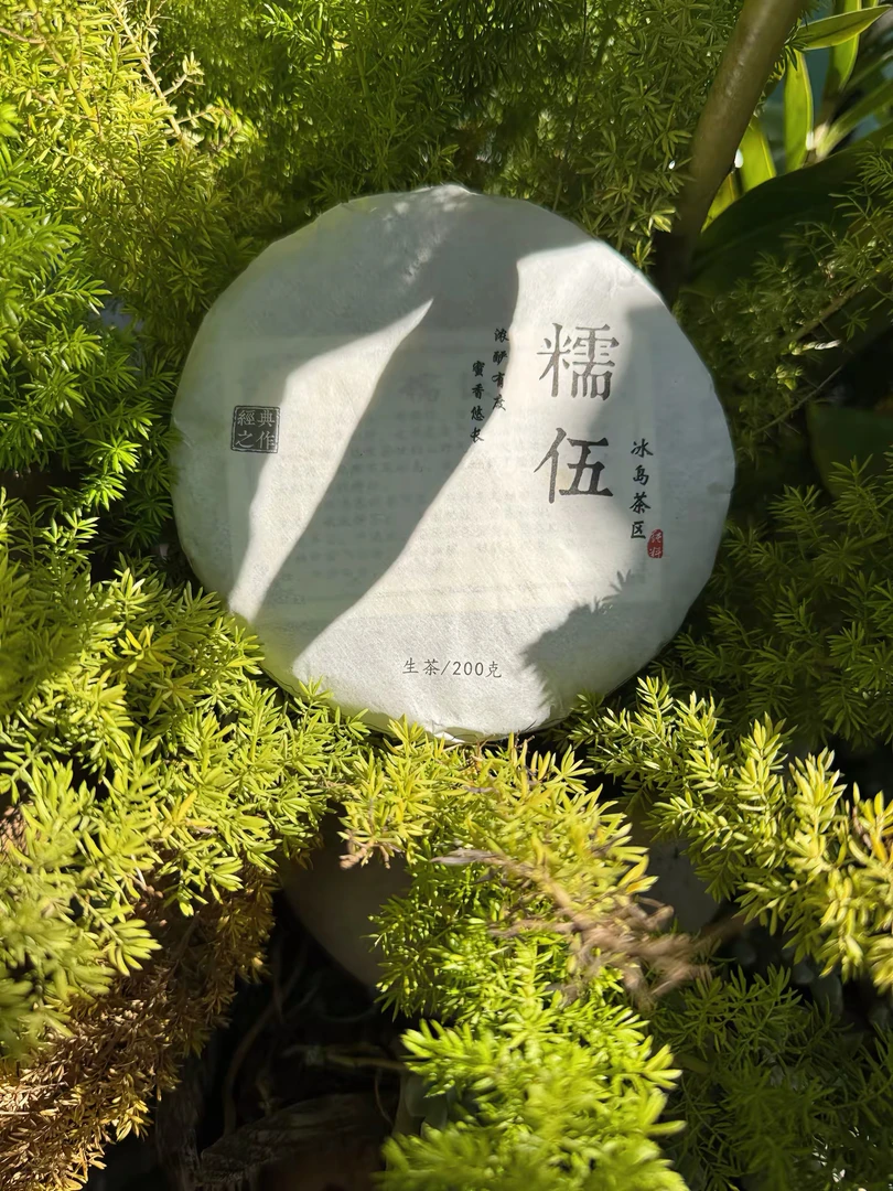 2019年冰岛糯伍普洱生茶紧压茶200克