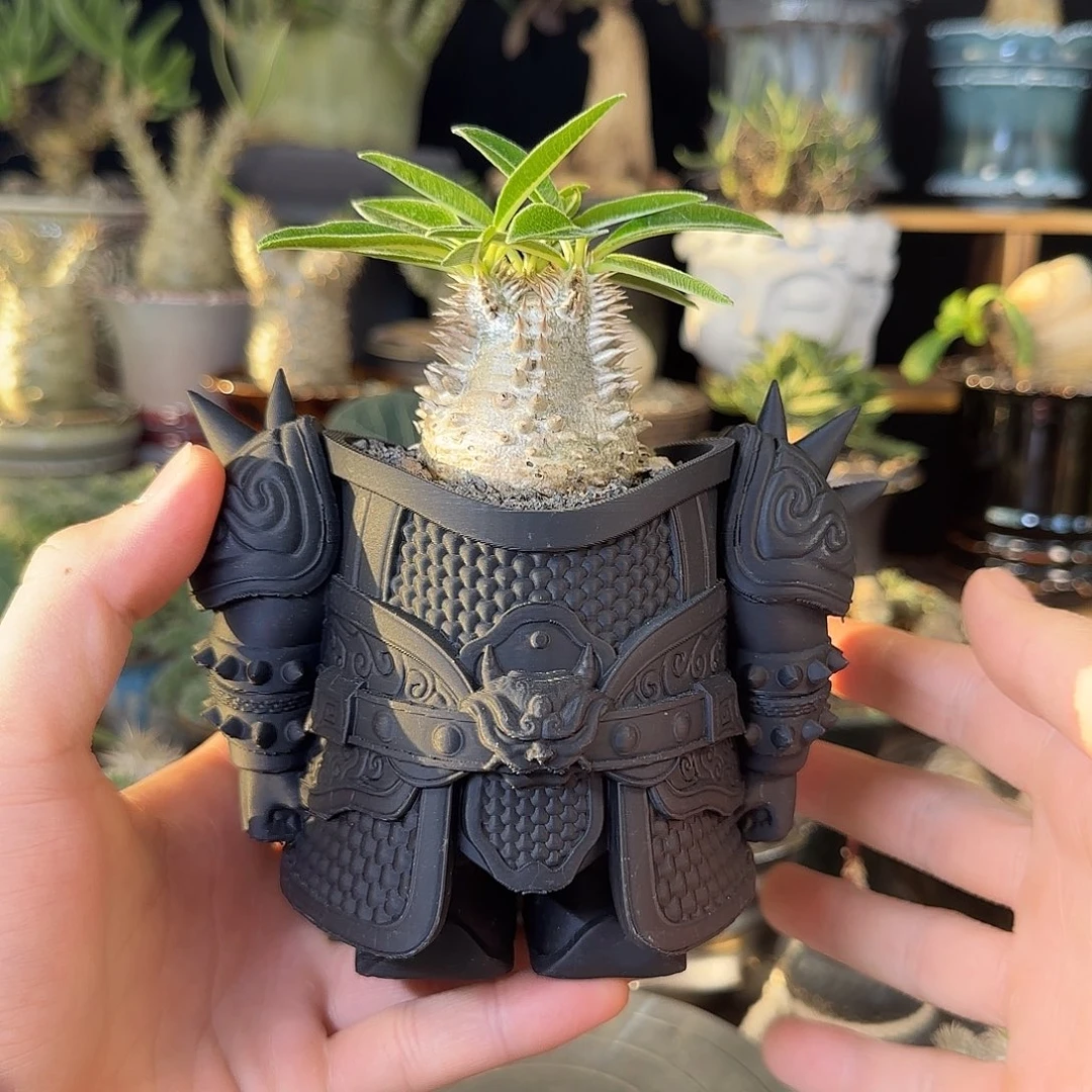 篮***馆一物一拍惠比大黑218