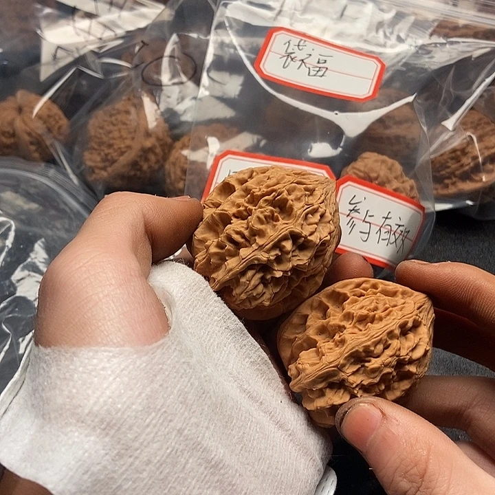 甲***寅555555555555555555555555555555