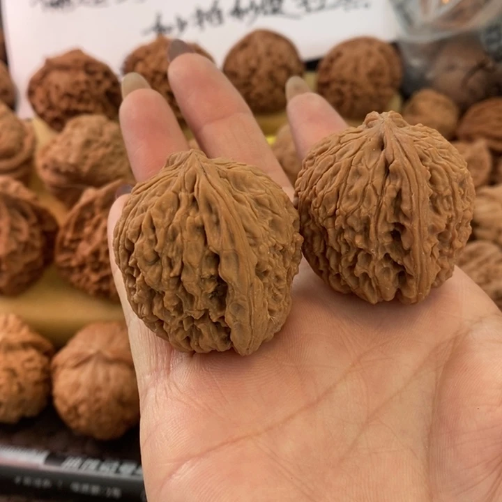 音***夹38无修无修无修无修无修