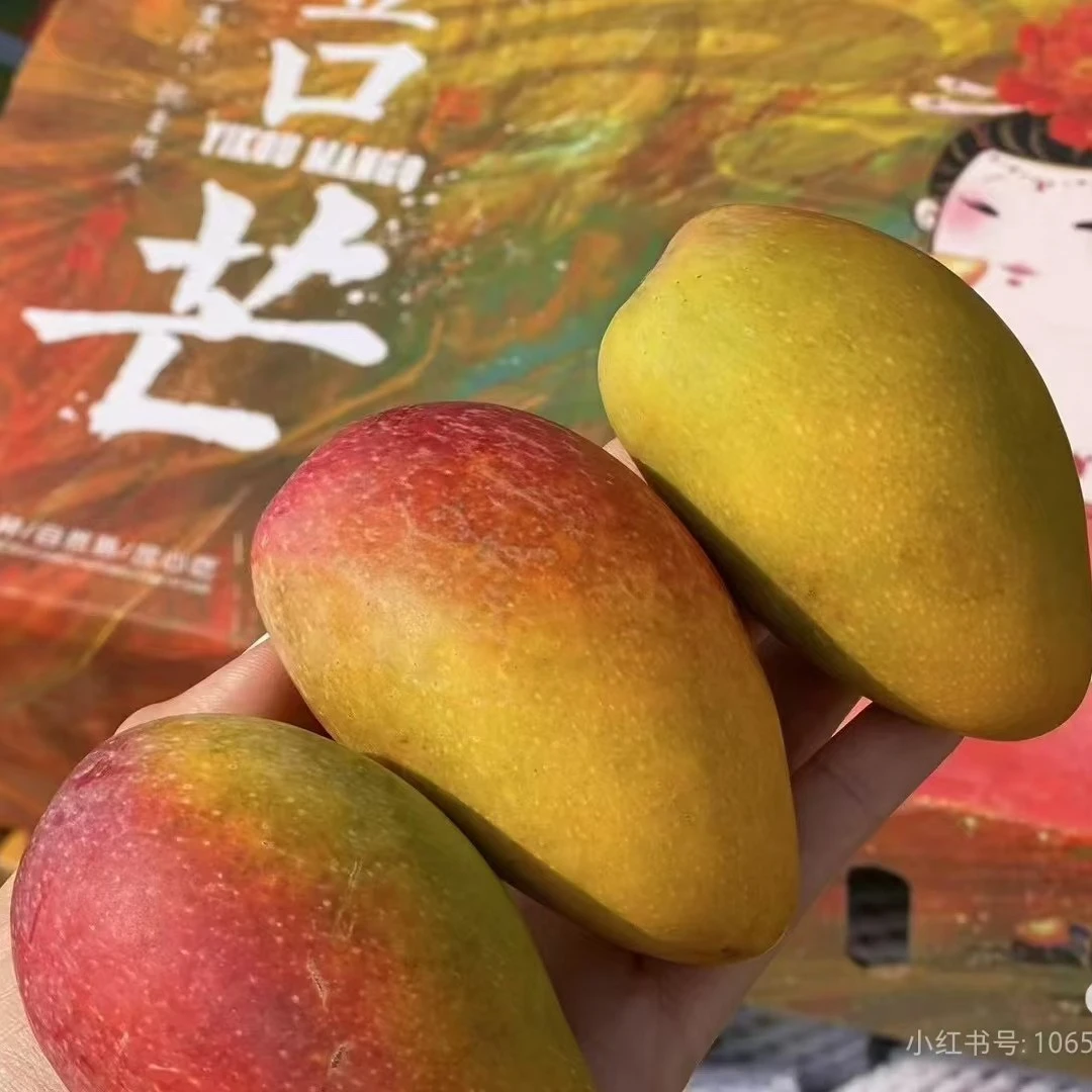 贵妃芒一箱约5斤