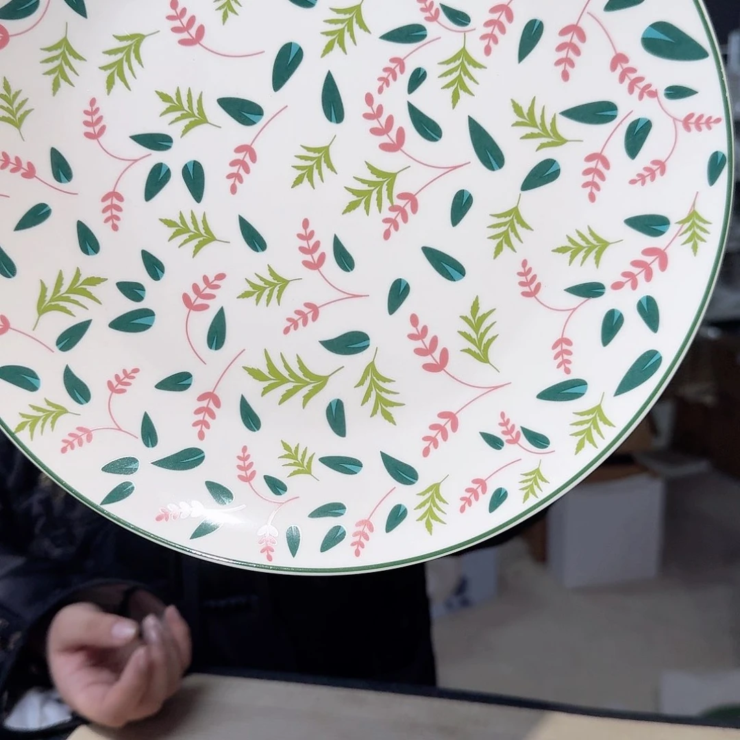 瓷骨瓷10.5英寸平盘27cm 2个外贸骨瓷瑕疵